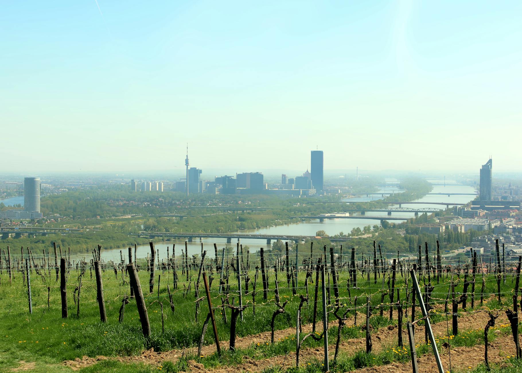 A stunning view of the Vienna skyline with the Danube River seen from a vineyard in spring. (Photo: Heinz Reisenhofer / Pexels)