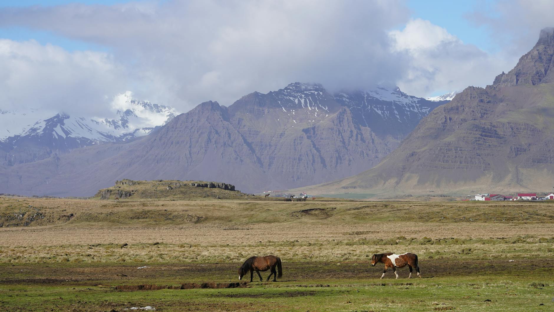 Stunning view of Icelandic horses grazing in the shadow of mountain ranges. (Photo: X1ntao ZHOU / Pexels)