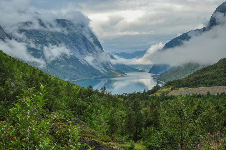 Breathtaking view of a foggy fjord in Norway surrounded by lush greenery and towering mountains.