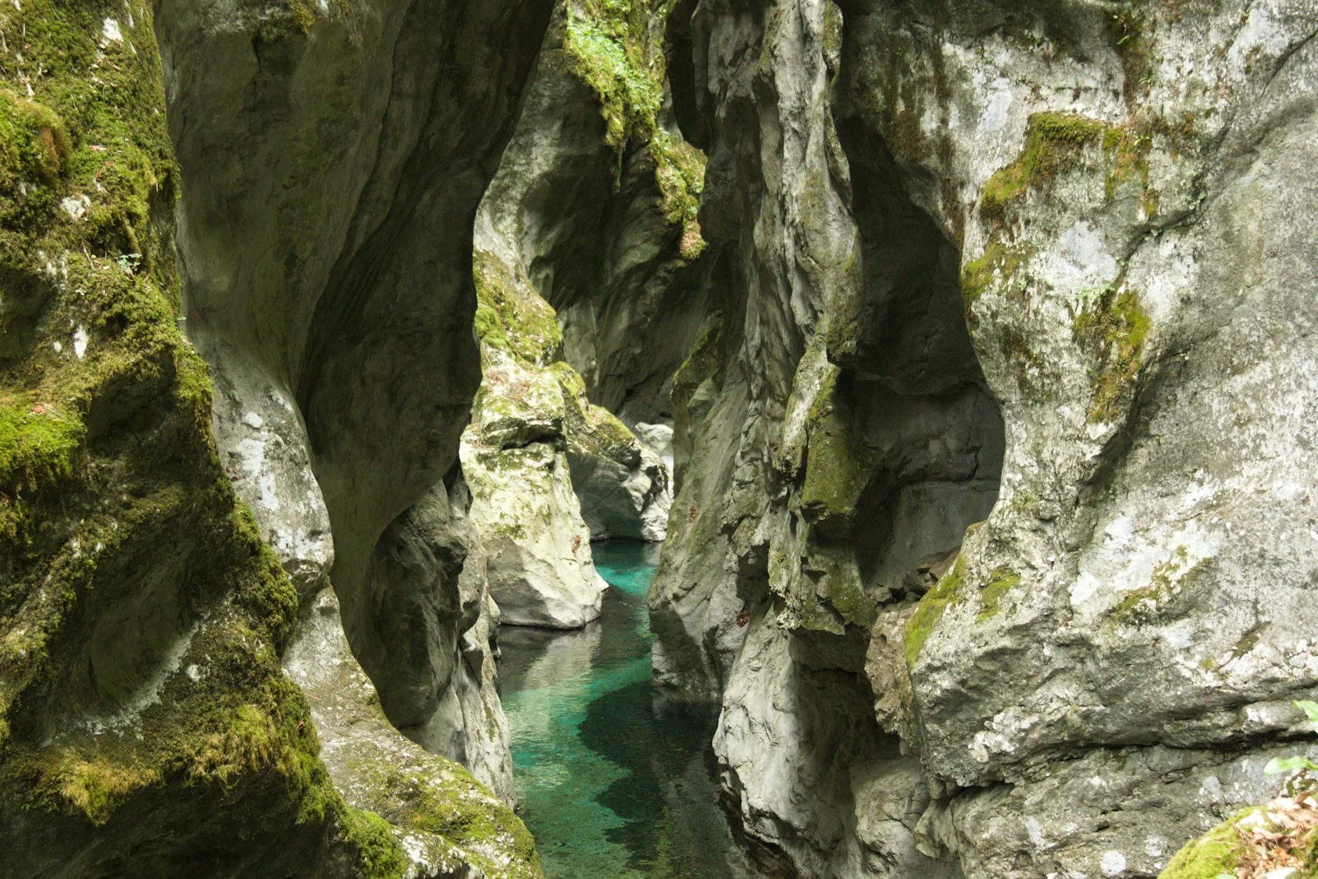 Discover the breathtaking Tolmin Gorge with its moss-covered cliffs and crystal-clear river in Slovenia. (Photo: Philipp Schwarz / Pexels)