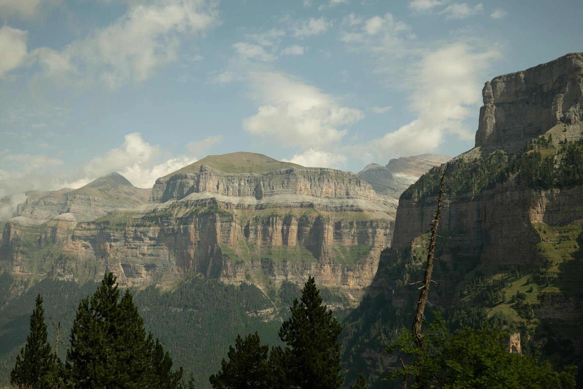 Stunning view of Ordesa Valley's cliffs in Spain's Pyrenees, perfect for nature lovers. (Photo: SilBaBum _ / Pexels)